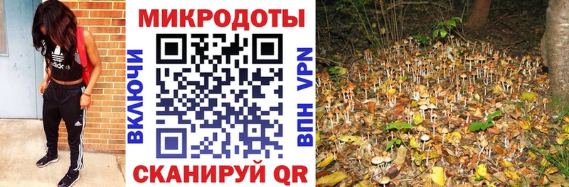 даркнет сайт  Кологрив  Псилоцибиновые грибы MAGIC MUSHROOMS 